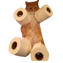 toiletrollboi