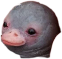 Perry Discord emoji