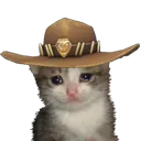 cat_meowdy cat_meowdy
