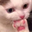 ohNo ohNo