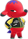 acnhcyd