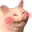 blushcat blushcat