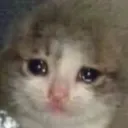 sadloaf sadloaf