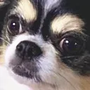 kkami2 kkami2