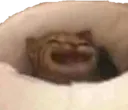 yeet