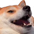 cypherLmao