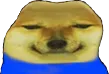smirkdoge