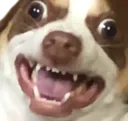 angery_bubz