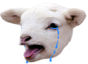 Cry_Sheep Discord emoji