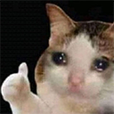 thumbcat