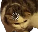 loadingcat