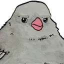 birdgrump