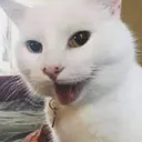 emoji_60 emoji_60