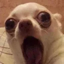shocked
