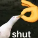 shutit