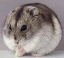 1234
