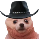 dcowboy dcowboy