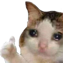 cattearthumb Discord emoji