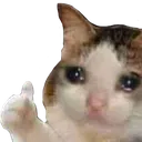 cattearthumb