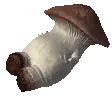 bruhbruhbruhbruhbruhbruhbruhbruh