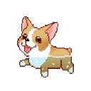 SwimmingCorgi