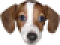 FrankerZ