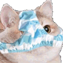 :Nervous_LafProjectV2: Discord Emote