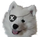 piratefloof