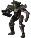 D2S_D_boomer