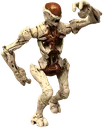 D2S_D_thrall