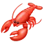 D2S_E_longcrab