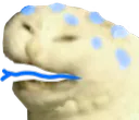 D2S_O_scREEb2