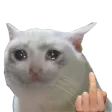 schmus7 schmus7
