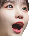 yuripoggers
