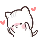 CatBlushCC CatBlushCC