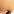 stareb stareb