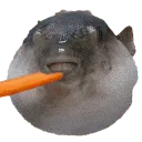 fisheat fisheat