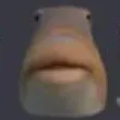 bruh
