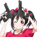 nicoguns
