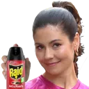 marinaRaid