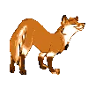 foxdance foxdance