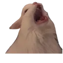 yellatME