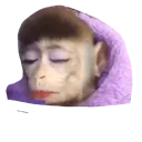 blindeded