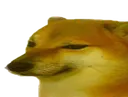 cheems