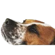mattduMillEmote