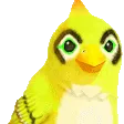 525516465177231423