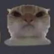 AngerCat