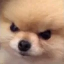 angery
