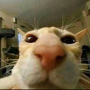 :gug: Discord Emote