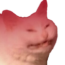 jCattorage